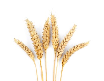 Dried ears of wheat on white background, top view