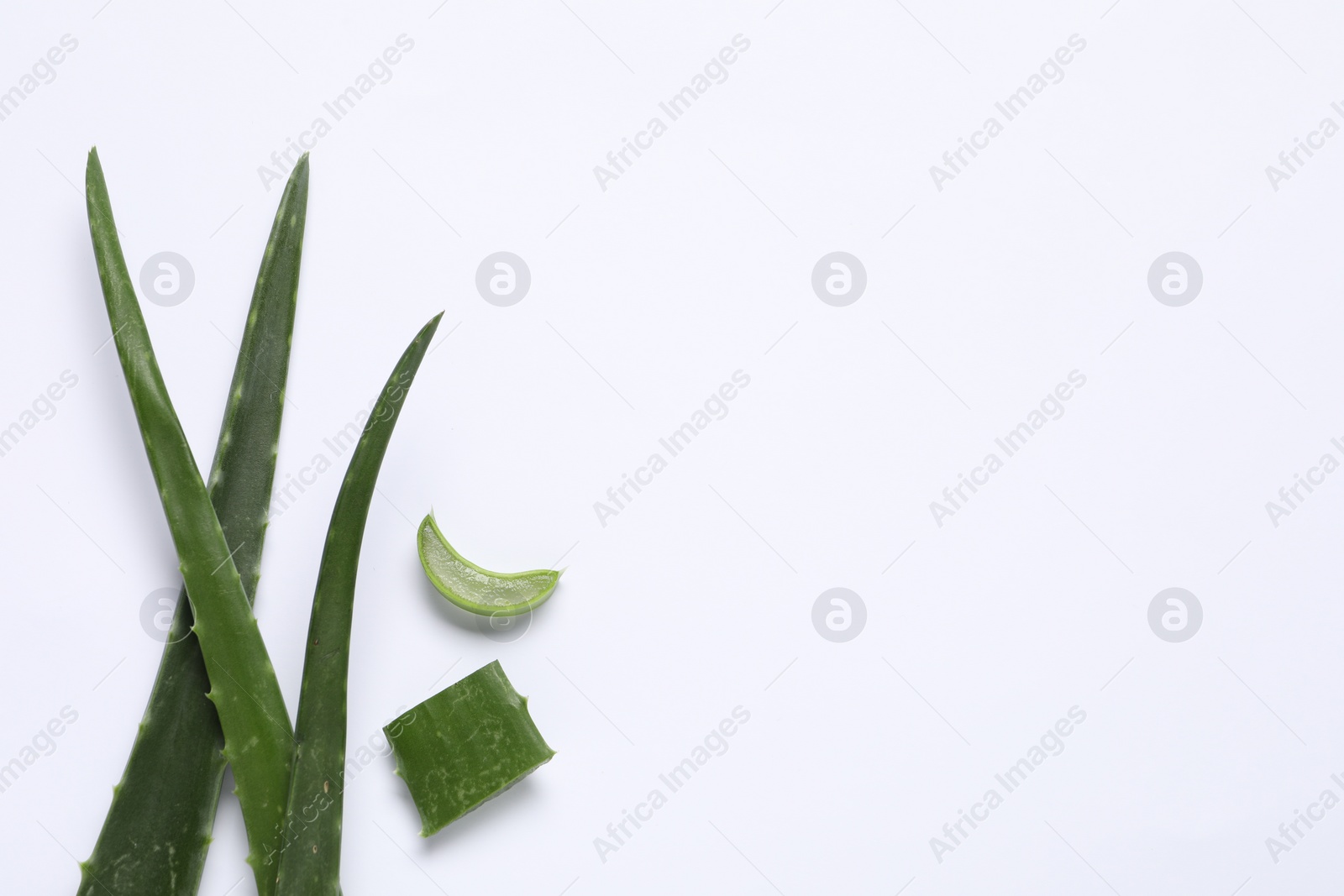 Photo of Cut aloe vera leaves on white background, flat lay. Space for text