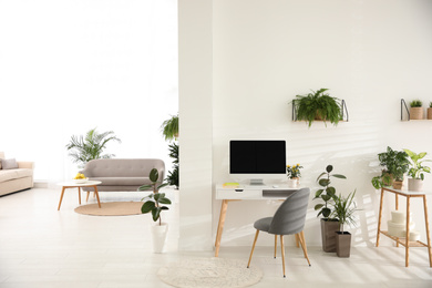 Photo of Modern workplace in room decorated with green potted plants. Home design