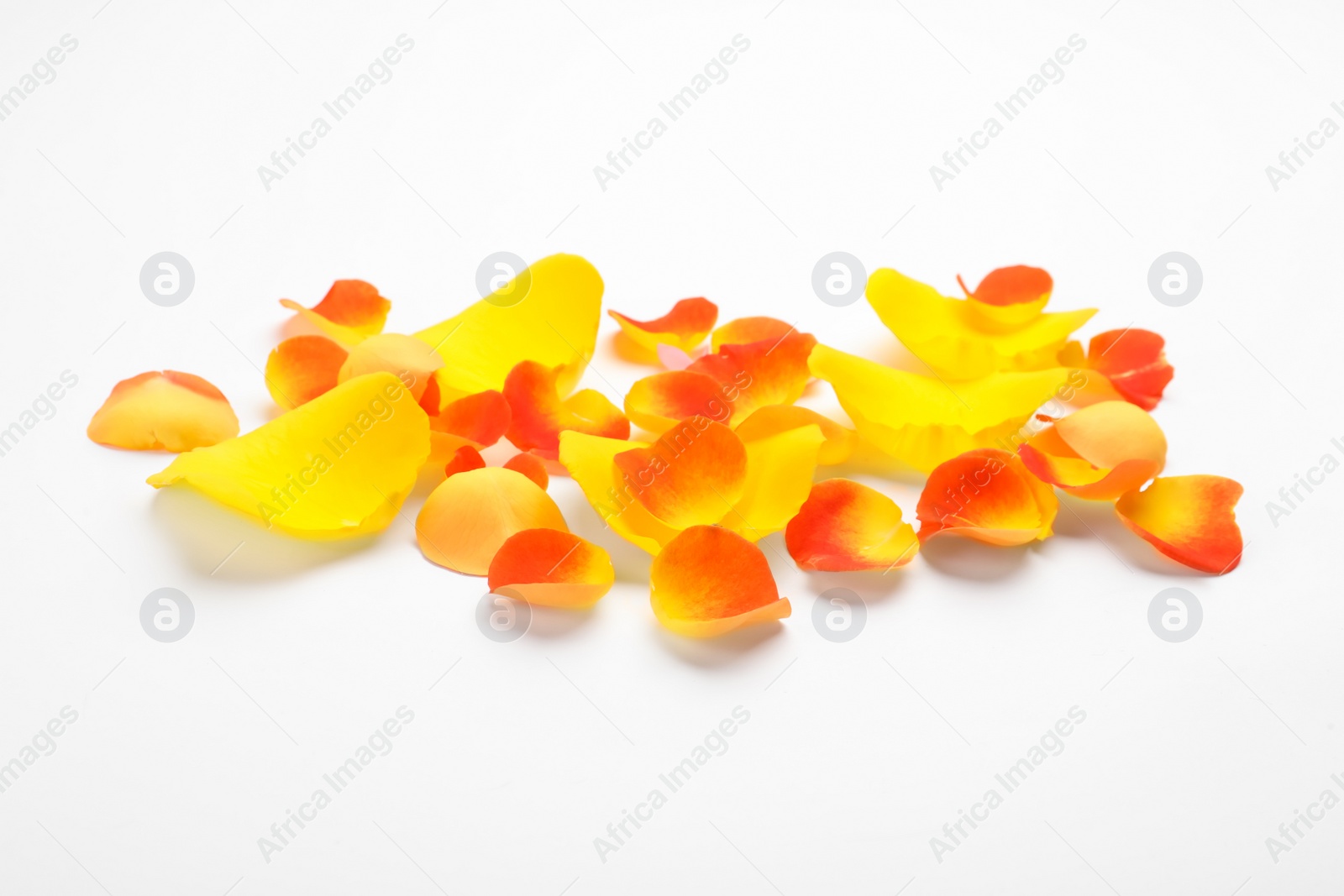 Photo of Pile of beautiful petals on white background