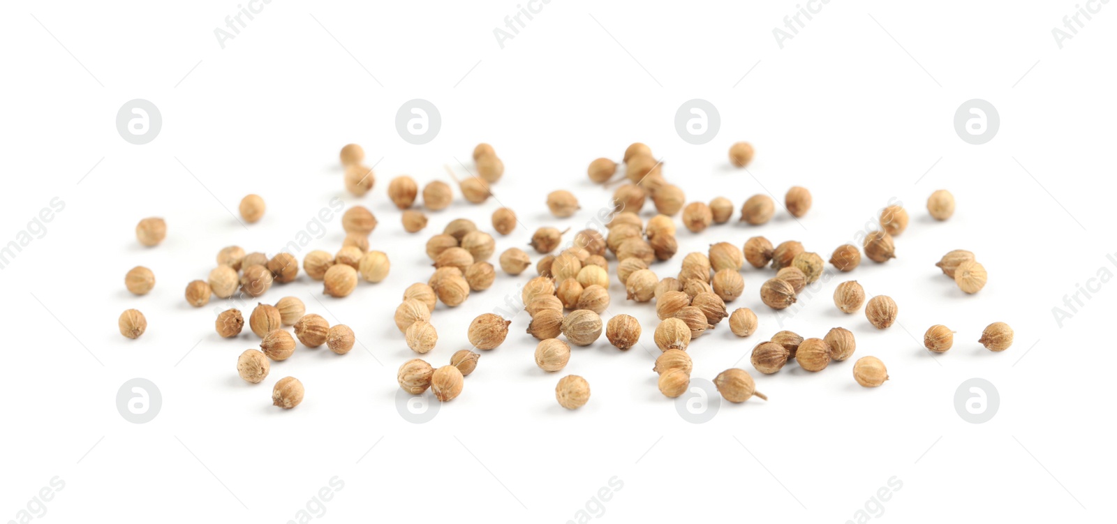 Photo of Scattered dried coriander seeds on white background