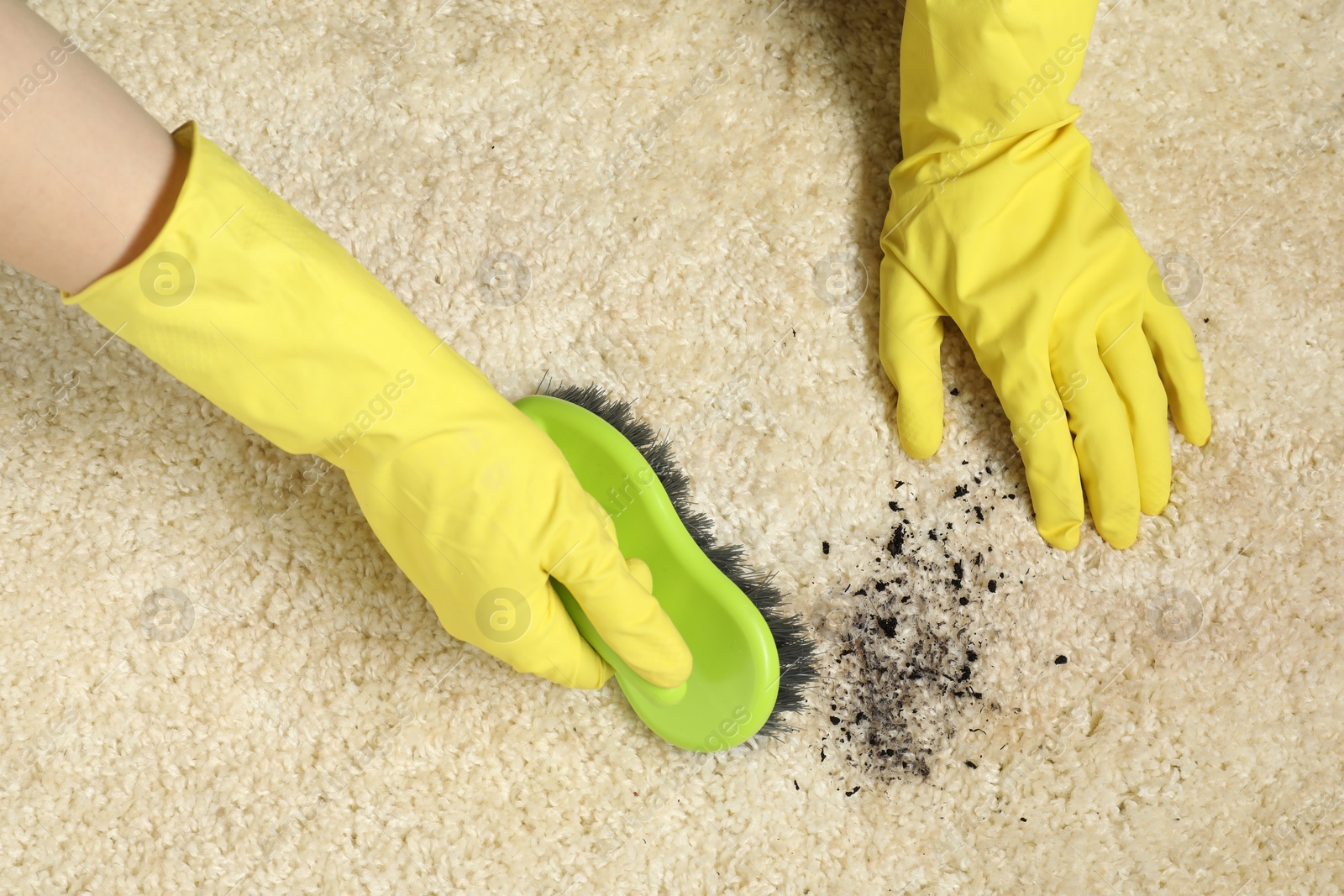 Photo of Woman removing stain from beige carpet, top view