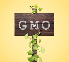 Image of Wooden sign with abbreviation GMO and green leaves on beige background