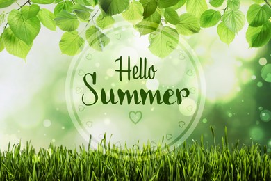 Image of Hello Summer. Fresh green grass on blurred background