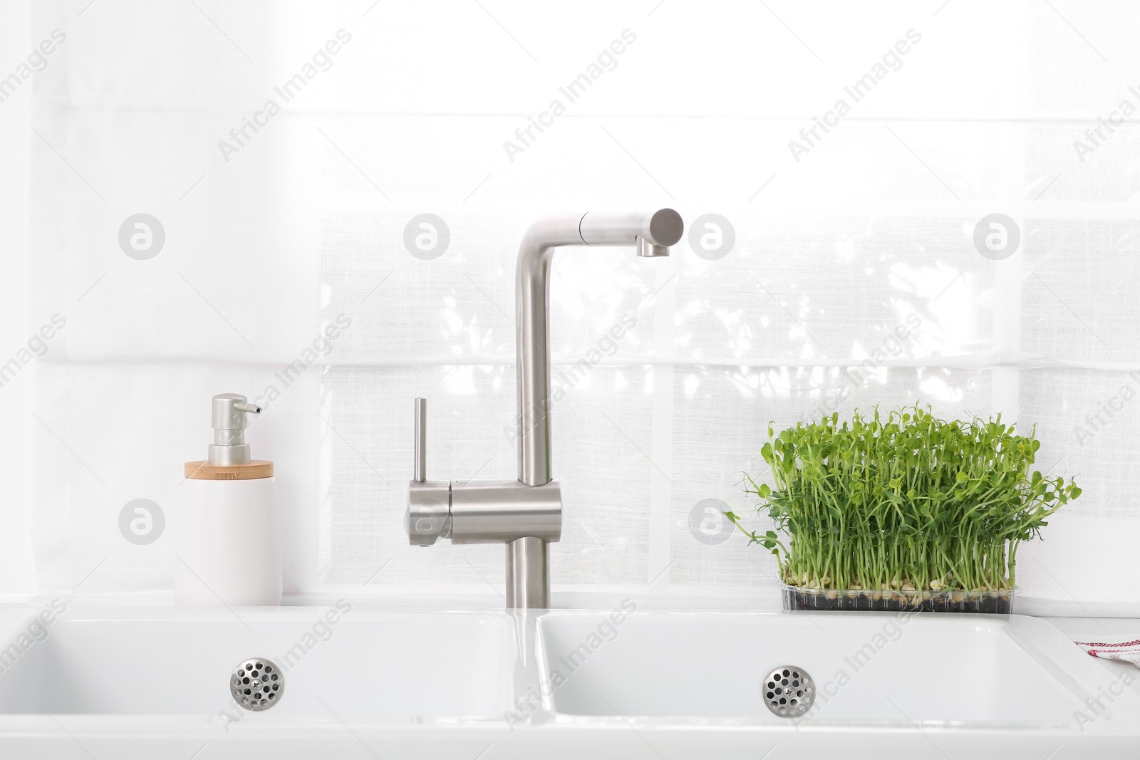 Photo of Stylish white sinks and microgreens in kitchen