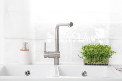Stylish white sinks and microgreens in kitchen