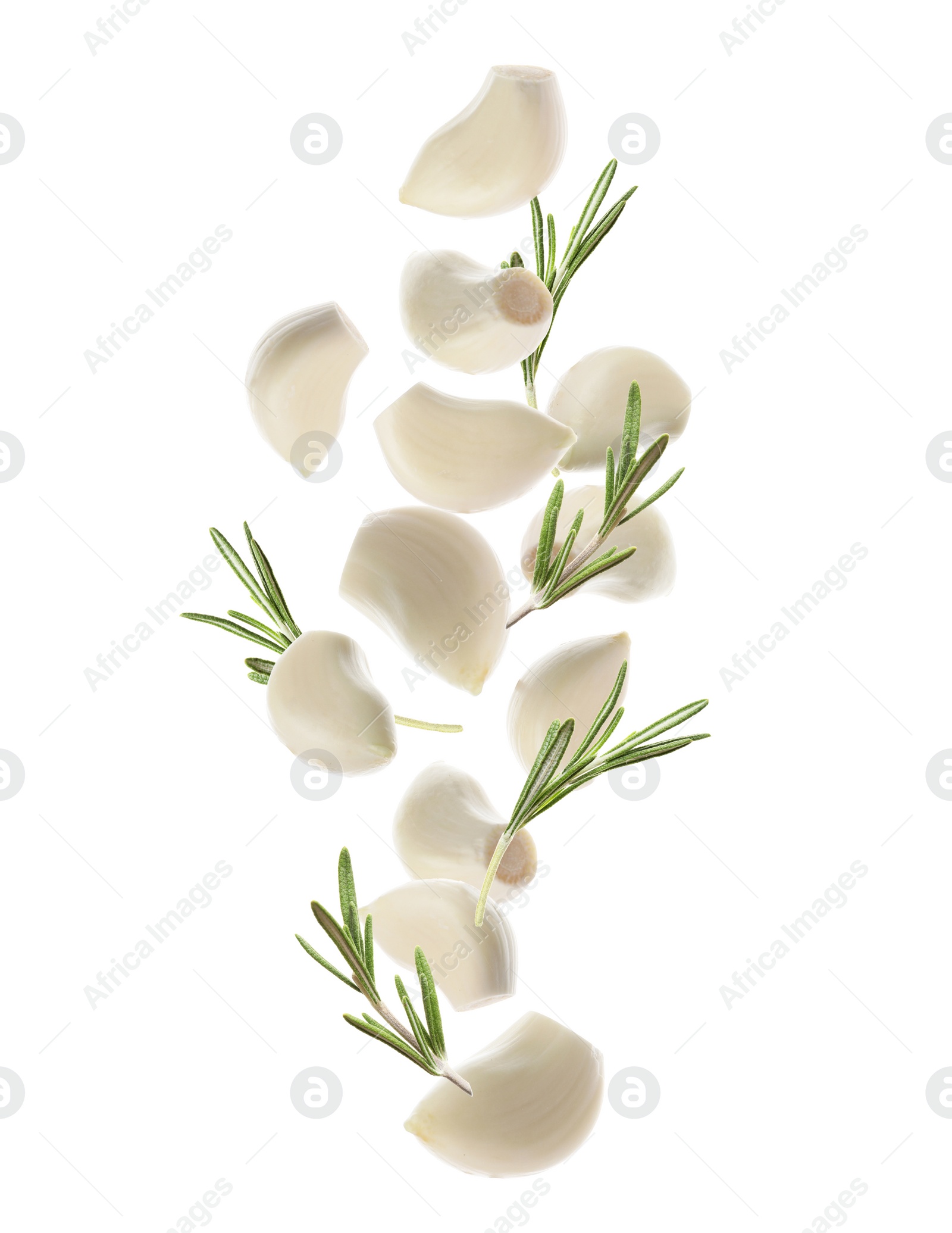 Image of Set of falling garlic cloves and rosemary on white background