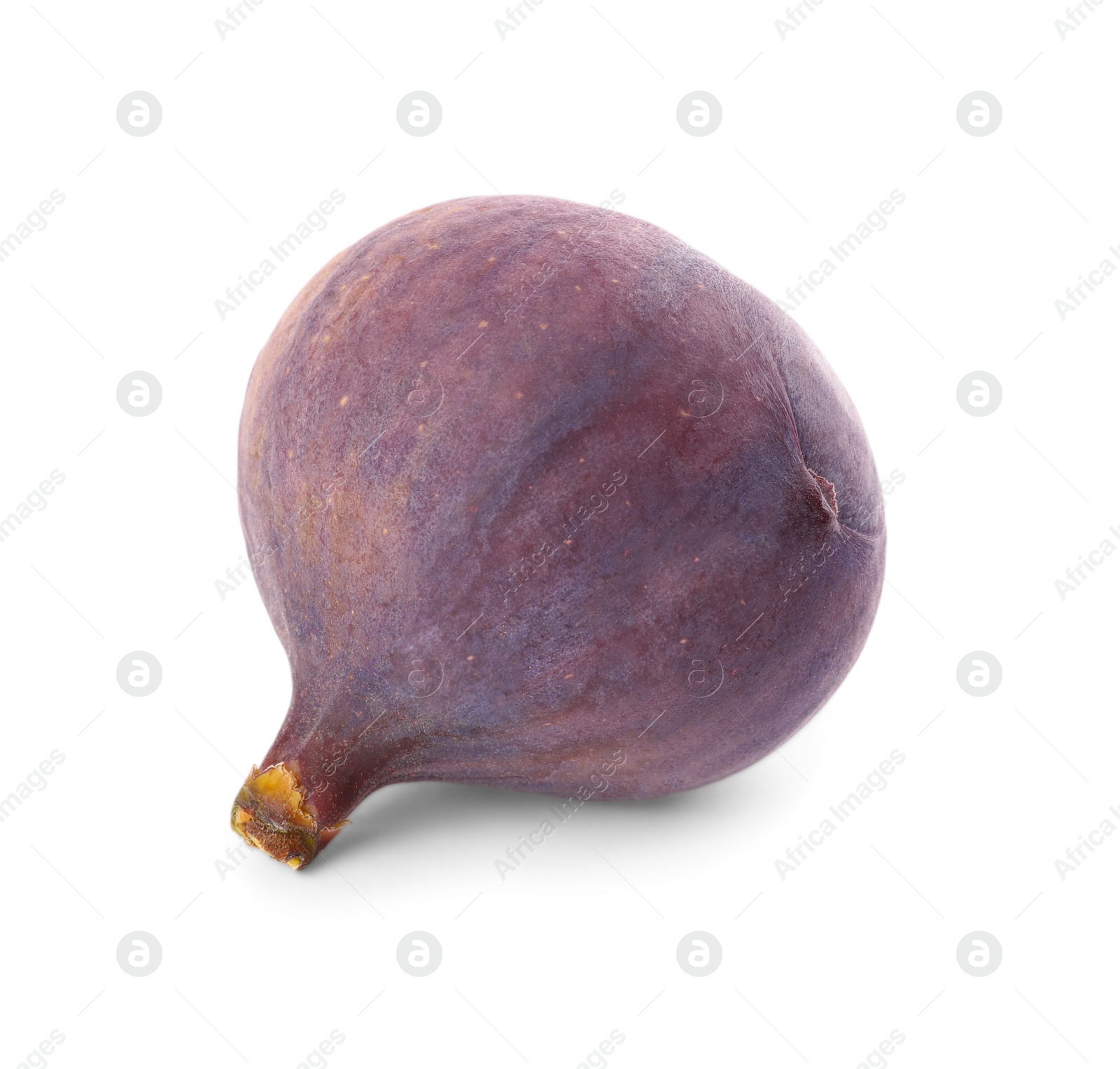 Photo of Whole tasty fresh fig isolated on white