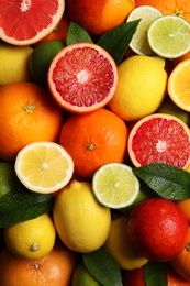 Photo of Different ripe citrus fruits as background, closeup