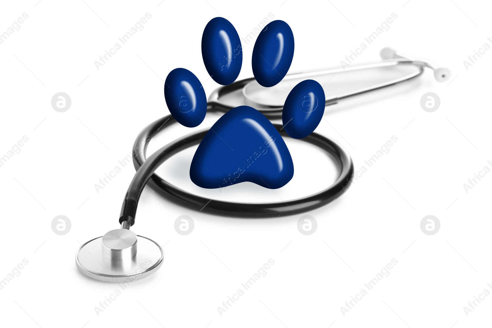 Image of Stethoscope and animal paw on white background