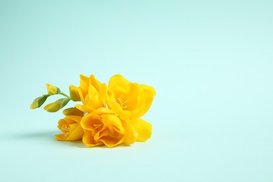 Photo of Beautiful blooming yellow freesias on light blue background. Space for text