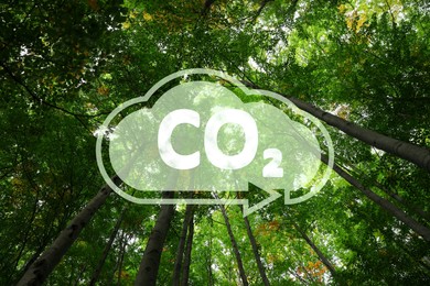 Image of Concept of clear air. CO2 inscription in illustration of cloud with arrow and beautiful green trees, bottom view