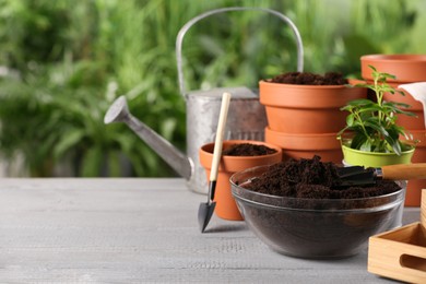 Photo of Flower pots, beautiful plant, soil and gardening tools on grey wooden table outdoors. Space for text