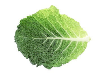 Photo of Green leaf of savoy cabbage on white background, top view