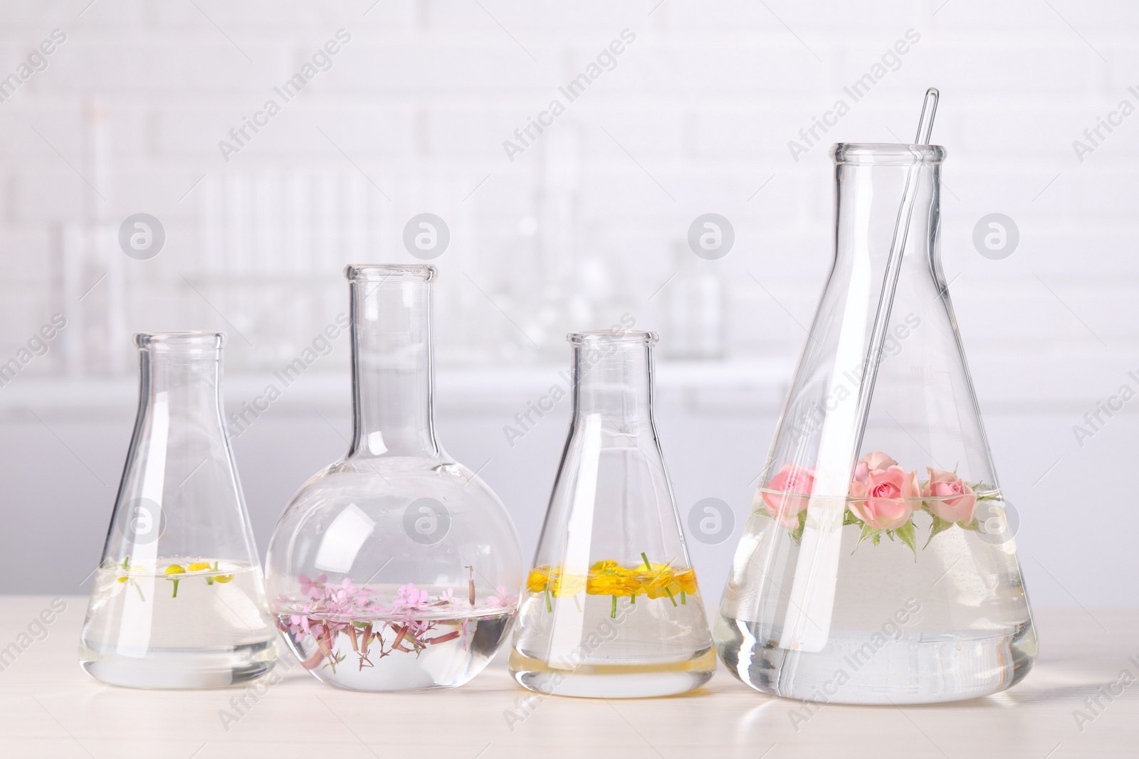 Photo of Laboratory glassware with different flowers on white wooden table. Essential oil extraction