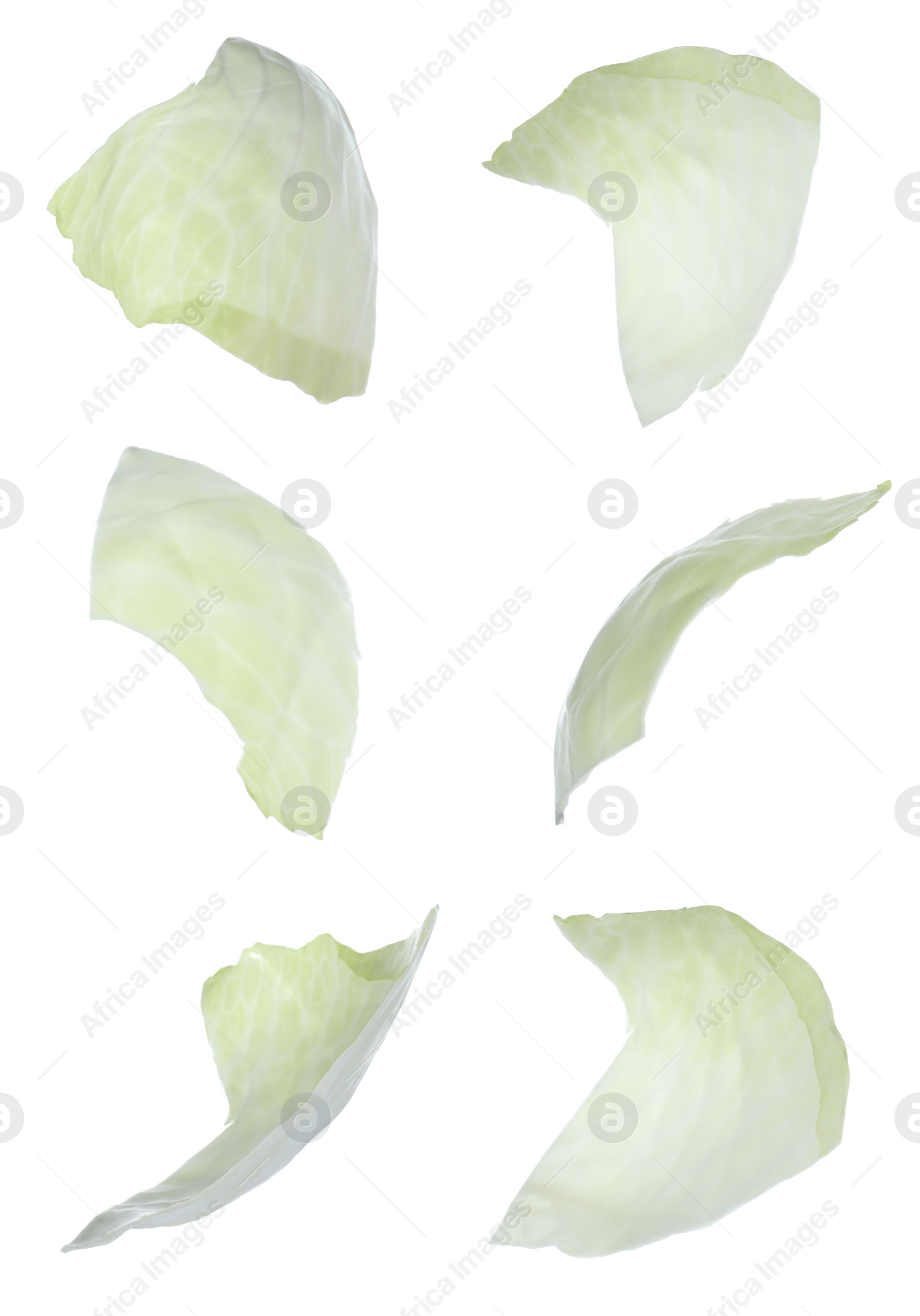 Image of Fresh cabbage leaves falling on white background