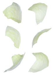 Fresh cabbage leaves falling on white background