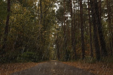 Image of Pathway between many beautiful trees in autumn park on rainy day