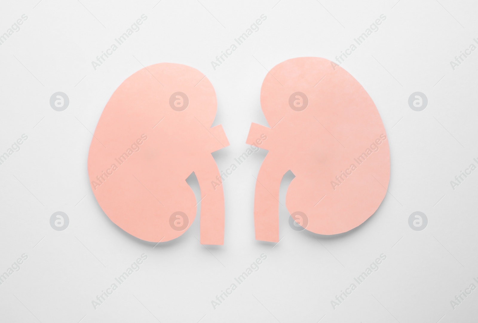 Photo of Paper cutout of kidneys on white background, top view