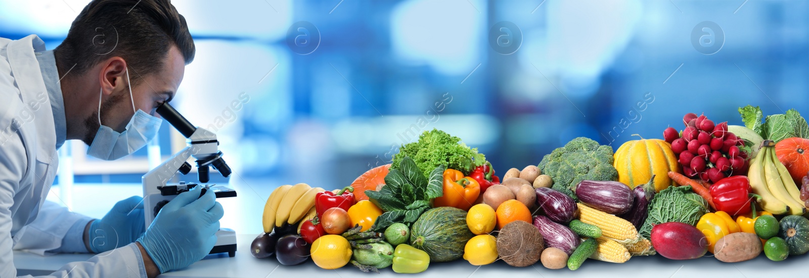 Image of Quality control specialist inspecting food in laboratory. Banner design 