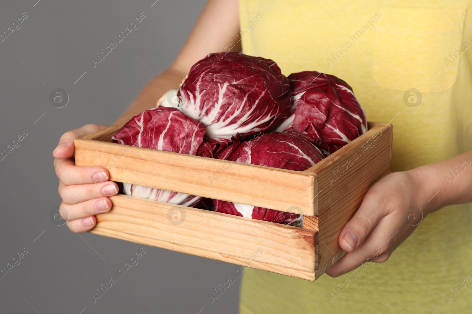 Photo of Woman with ripe radicchios on grey background, closeup