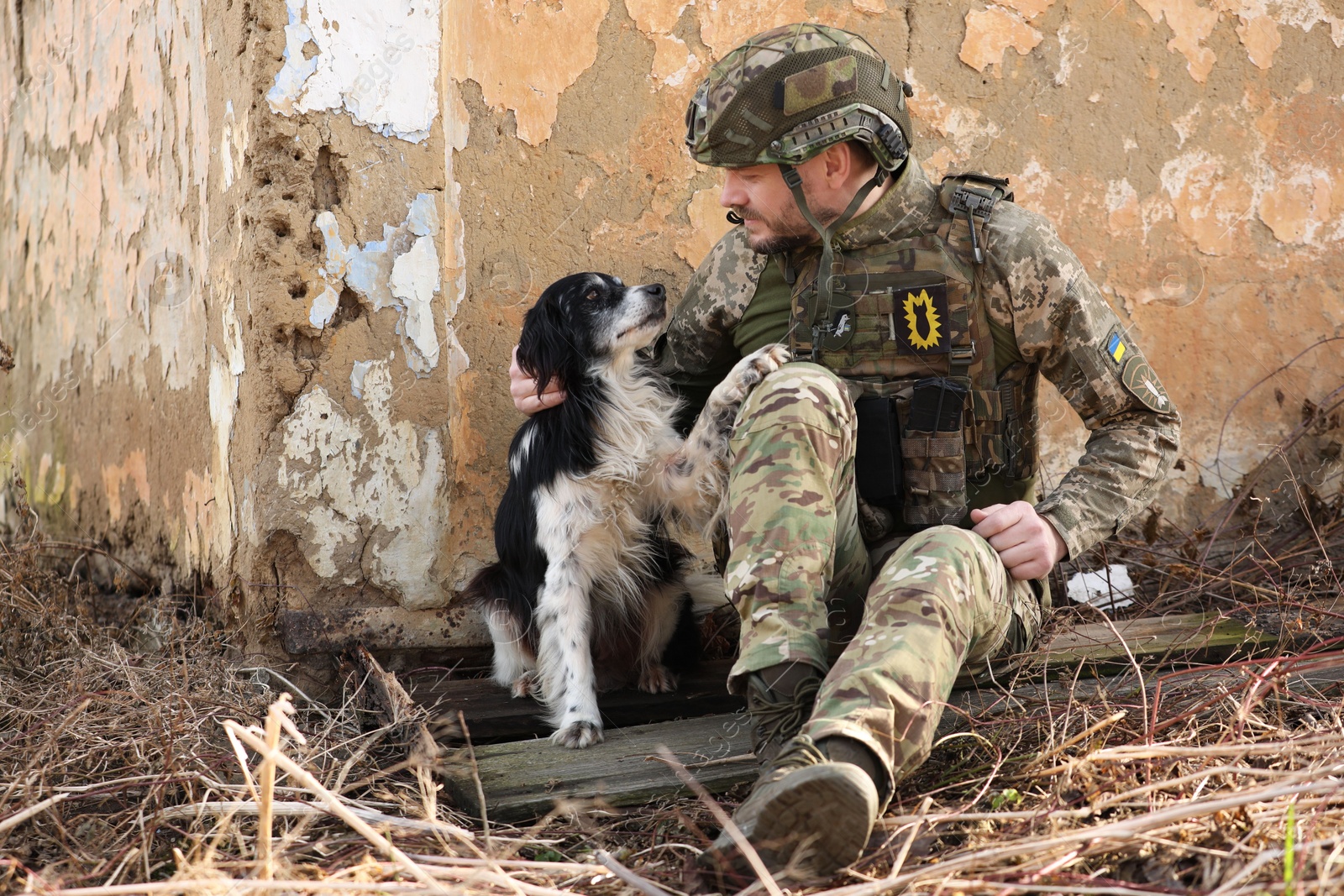 Photo of Ukrainian soldier with stray dog sitting outdoors