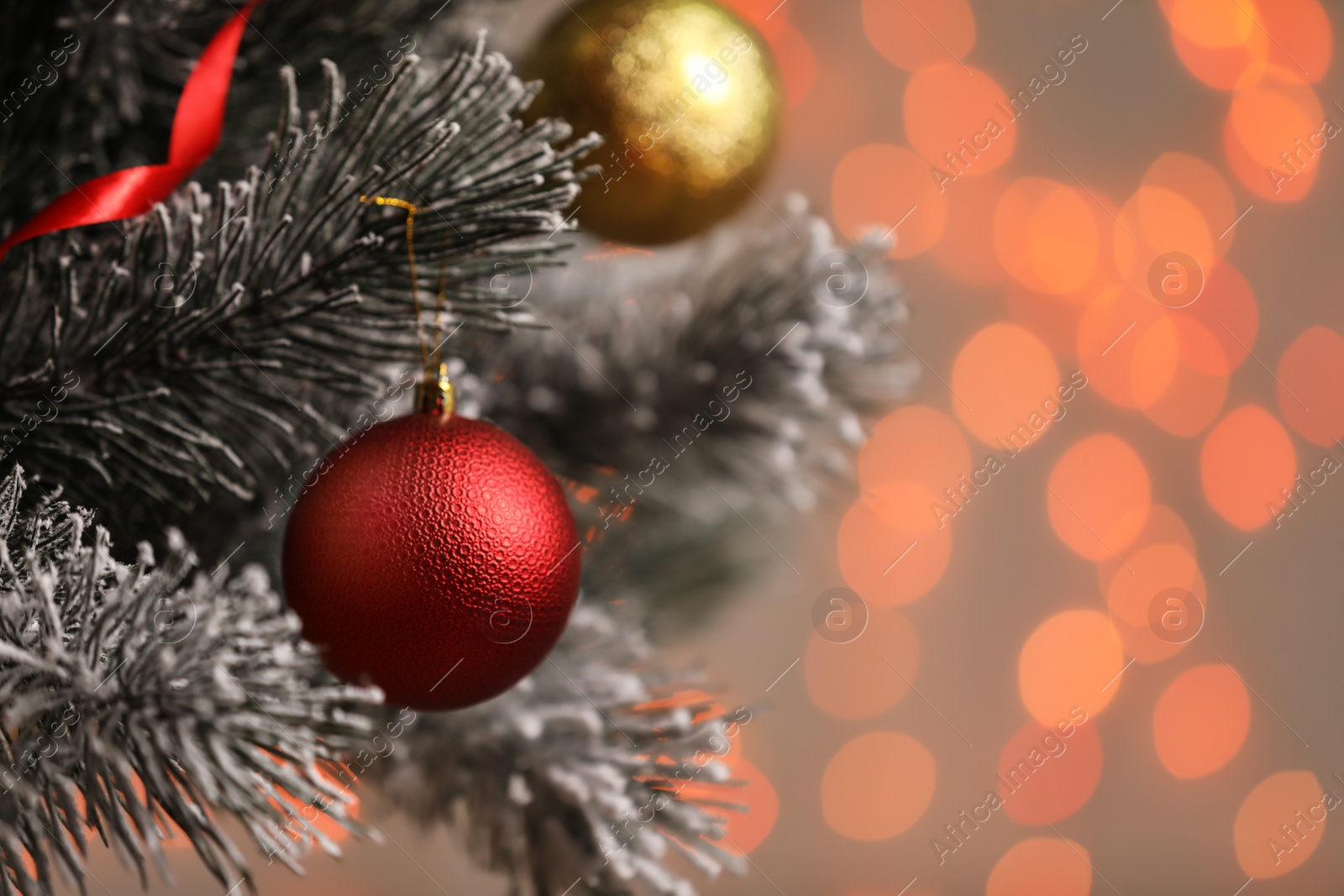 Photo of Red holiday bauble hanging on Christmas tree against blurred festive lights, closeup. Space for text