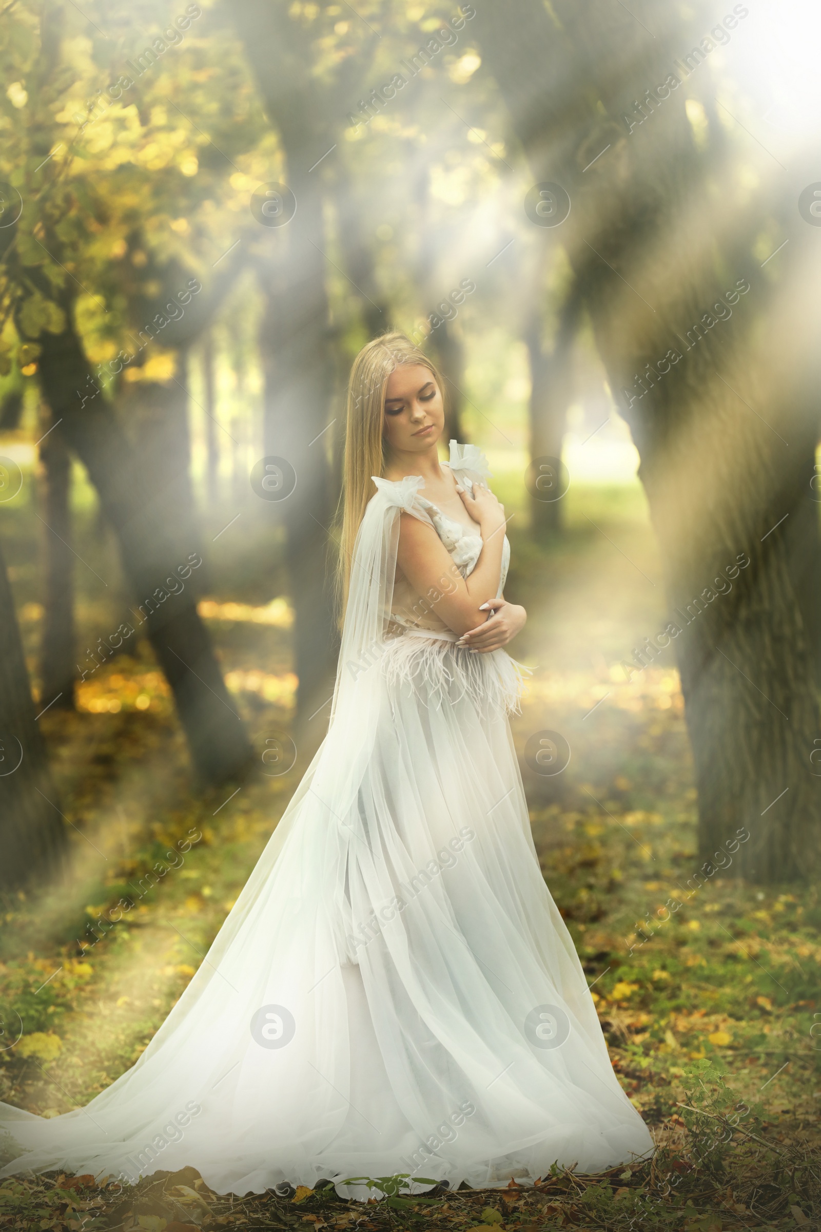 Photo of Beautiful girl wearing fairy dress in autumn forest