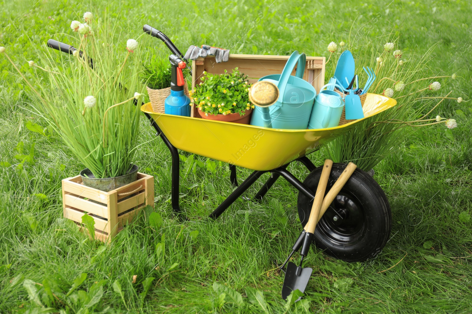 Photo of Composition with gardening tools on green grass