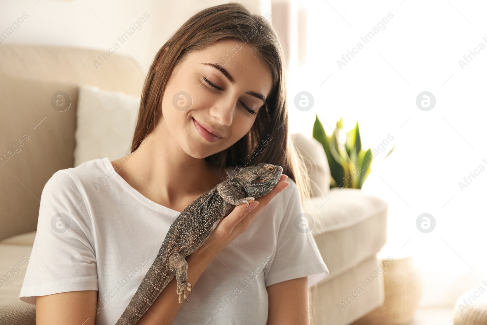 Photo of Woman holding bearded lizard at home. Exotic pet