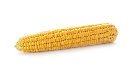 Tasty sweet corn cob on white background