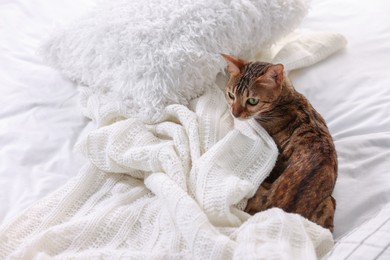 Photo of Cute Bengal cat lying on bed at home, space for text. Adorable pet