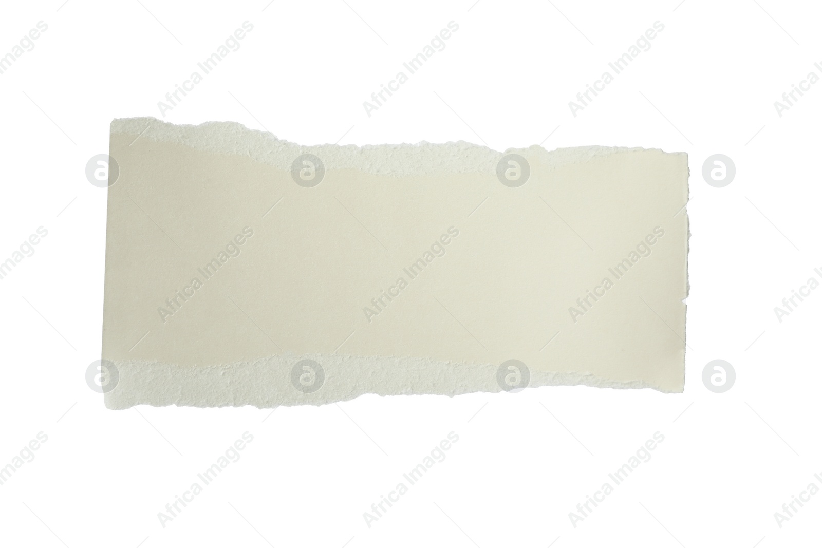 Photo of Piece of blank notebook paper isolated on white. Space for design