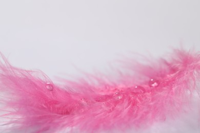 Photo of Closeup view of beautiful feather with dew drops on white background