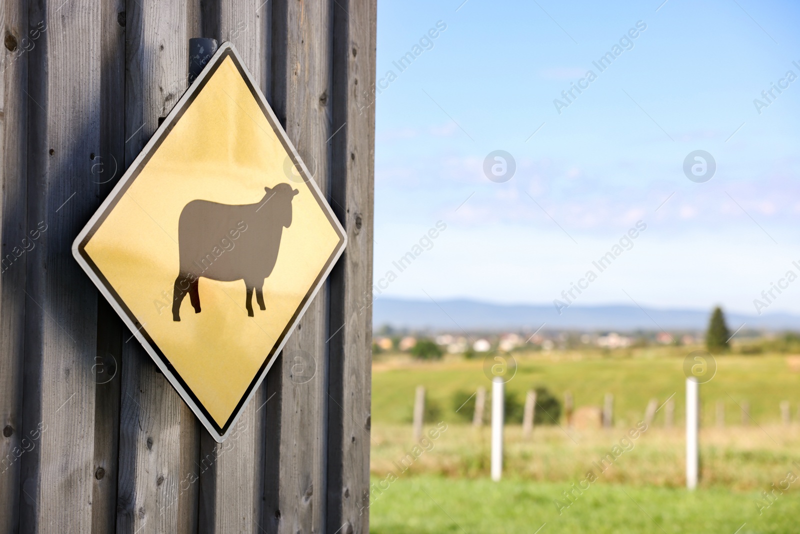 Photo of Sign with picture of sheep on wooden wall outdoors. Farm animal