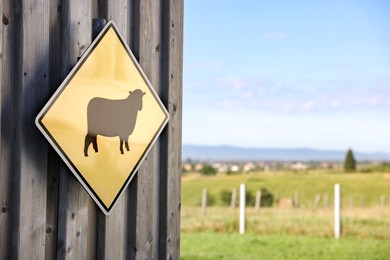 Photo of Sign with picturesheep on wooden wall outdoors. Farm animal