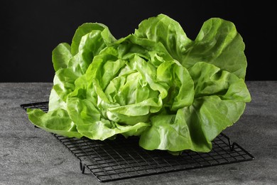 Photo of Fresh green butter lettuce on grey table