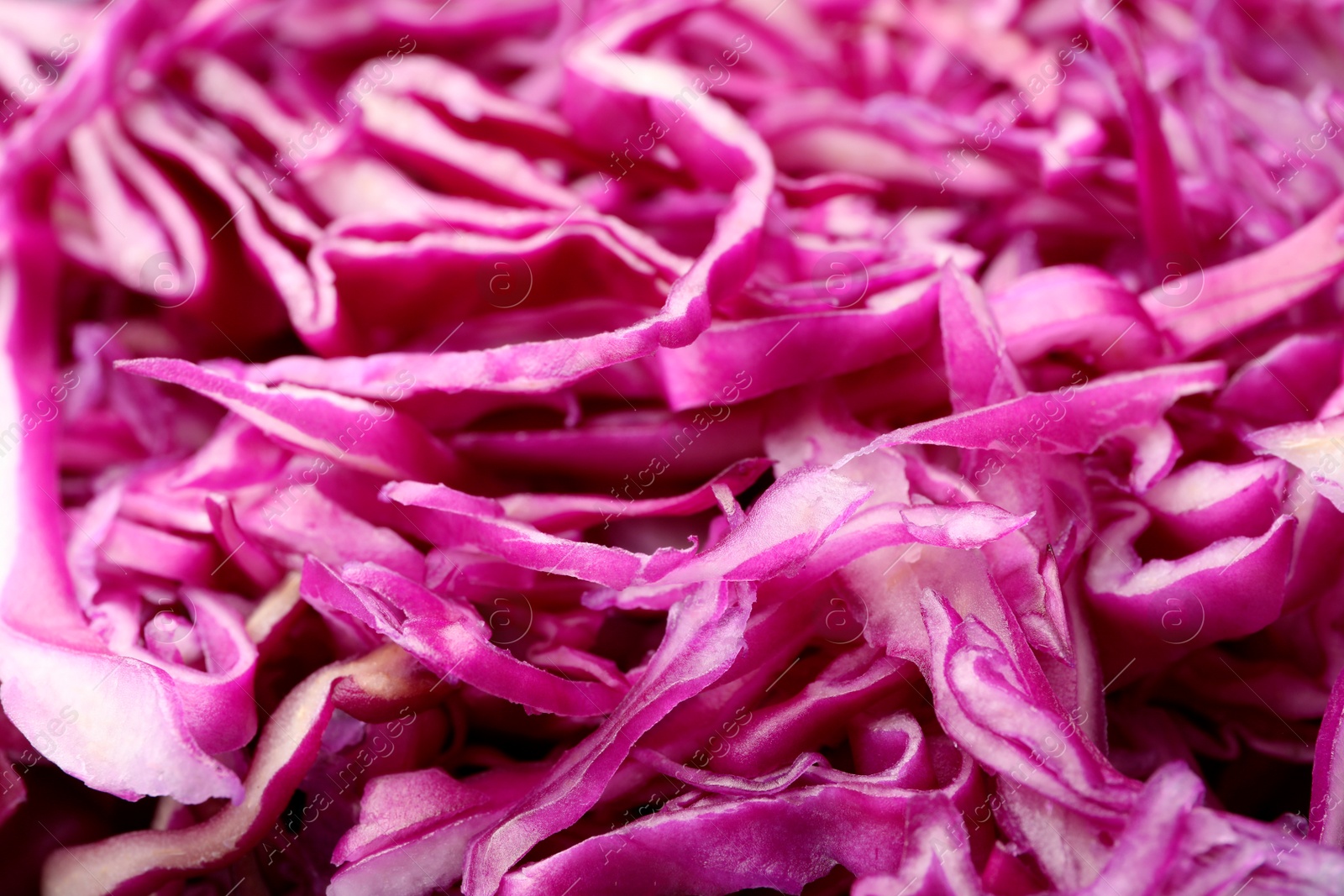 Photo of Tasty fresh shredded red cabbage as background, closeup