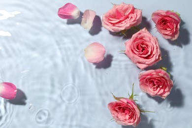 Photo of Beautiful roses and petals in water on light blue background, top view. Space for text