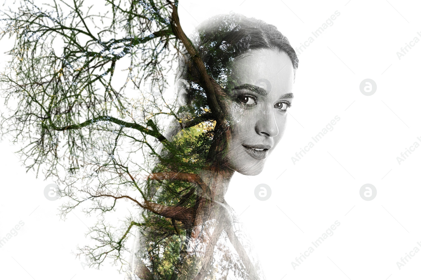 Image of Double exposure of beautiful woman and tree on white background, color toned