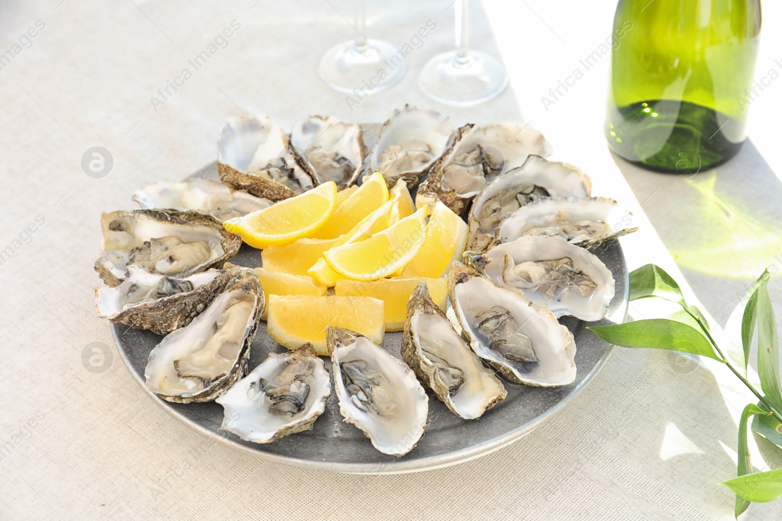 Photo of Fresh oysters with cut juicy lemon served on table