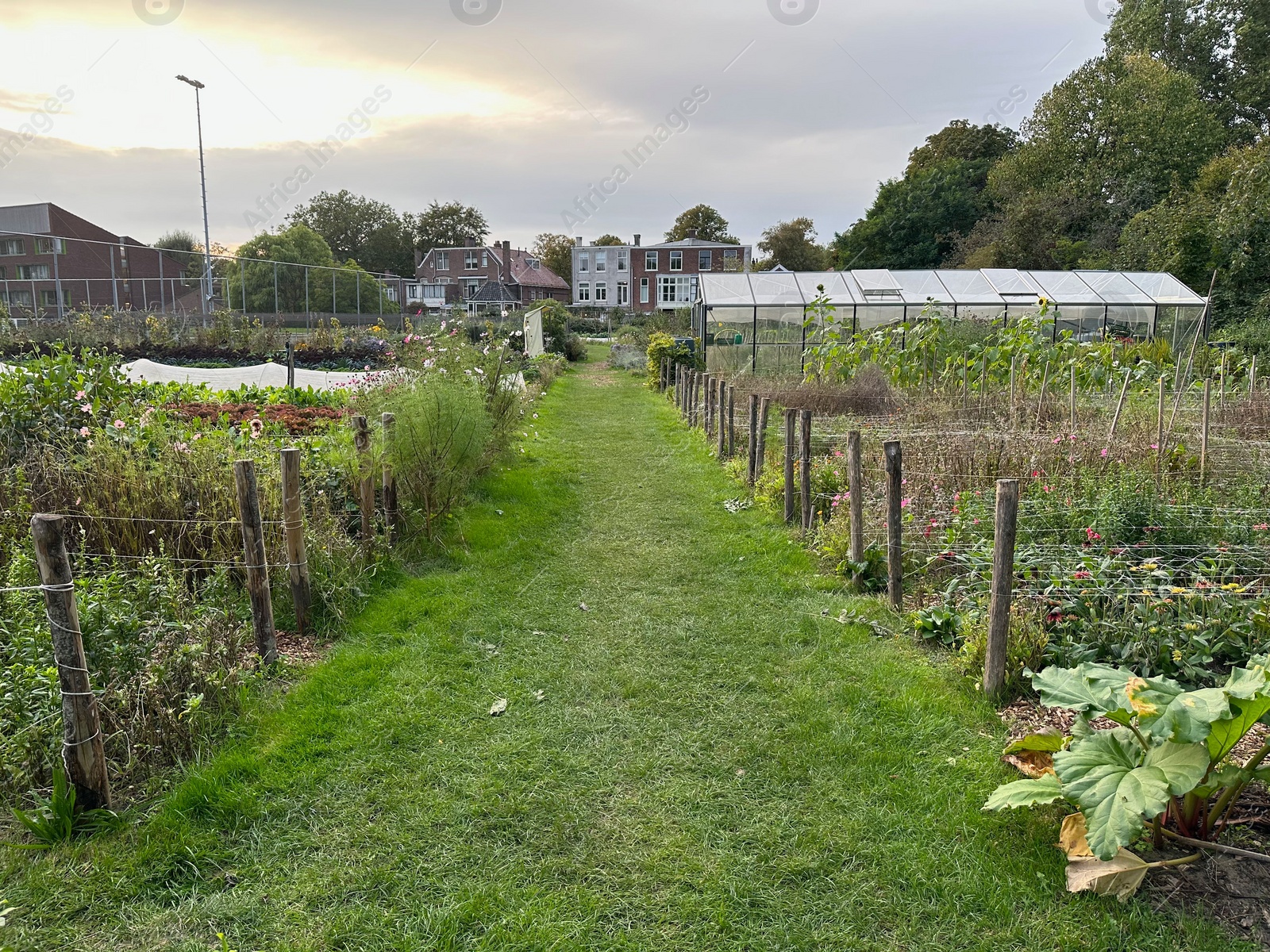 Photo of Beautiful farm with different plants and grass