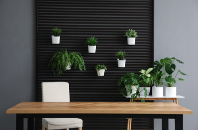 Wooden table and plants in room. Stylish interior design