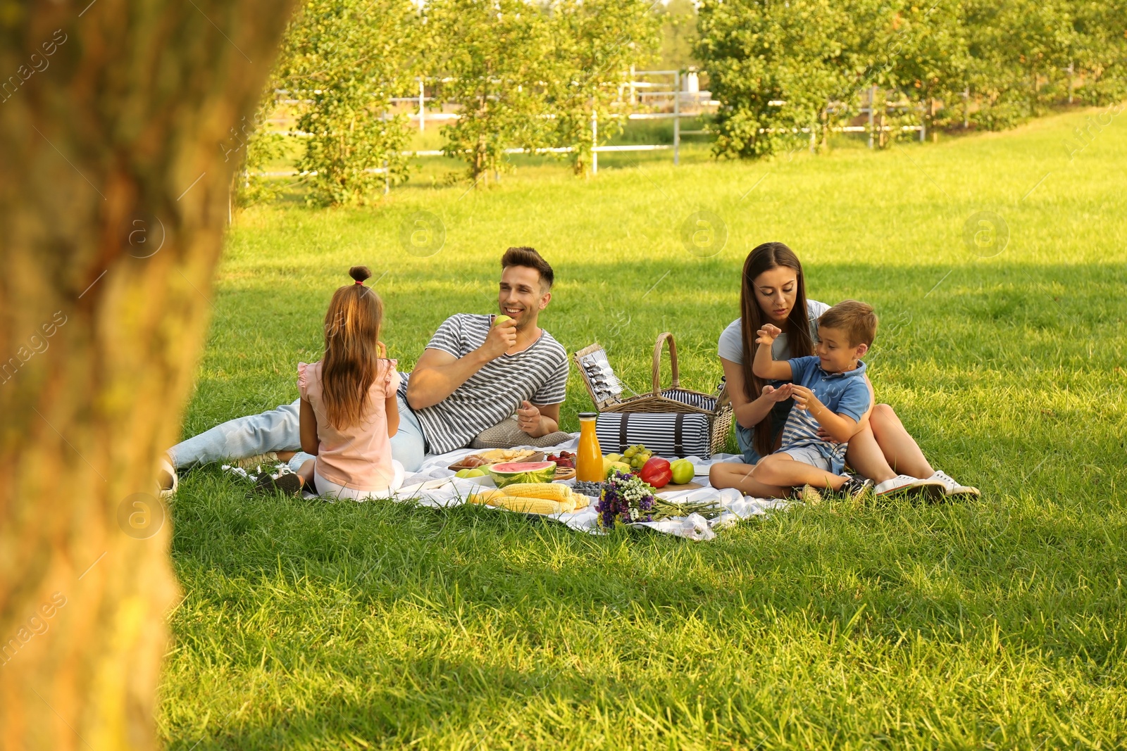 Photo of Happy family having picnic in park on sunny summer day