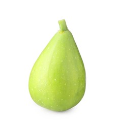 Photo of One fresh green fig isolated on white