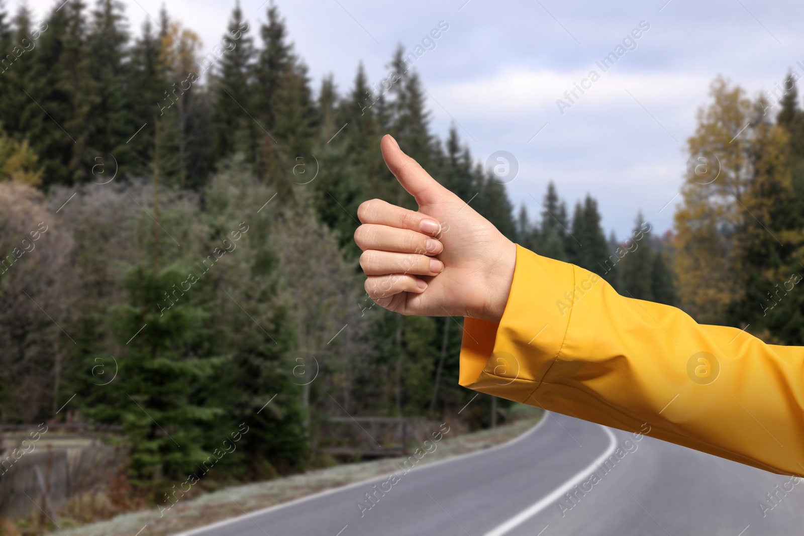 Image of Woman catching car on road, closeup. Hitchhiking trip