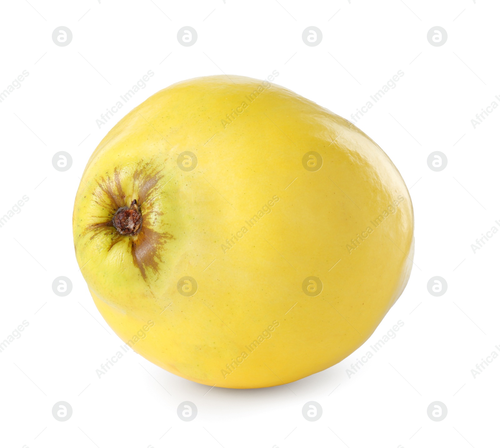 Photo of Delicious fresh ripe quince isolated on white