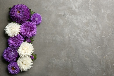 Photo of Beautiful asters and space for text on grey background, flat lay. Autumn flowers