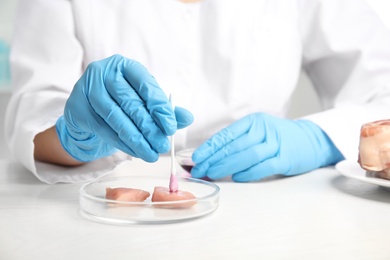 Photo of Scientist inspecting meat at table in laboratory, closeup. Poison detection