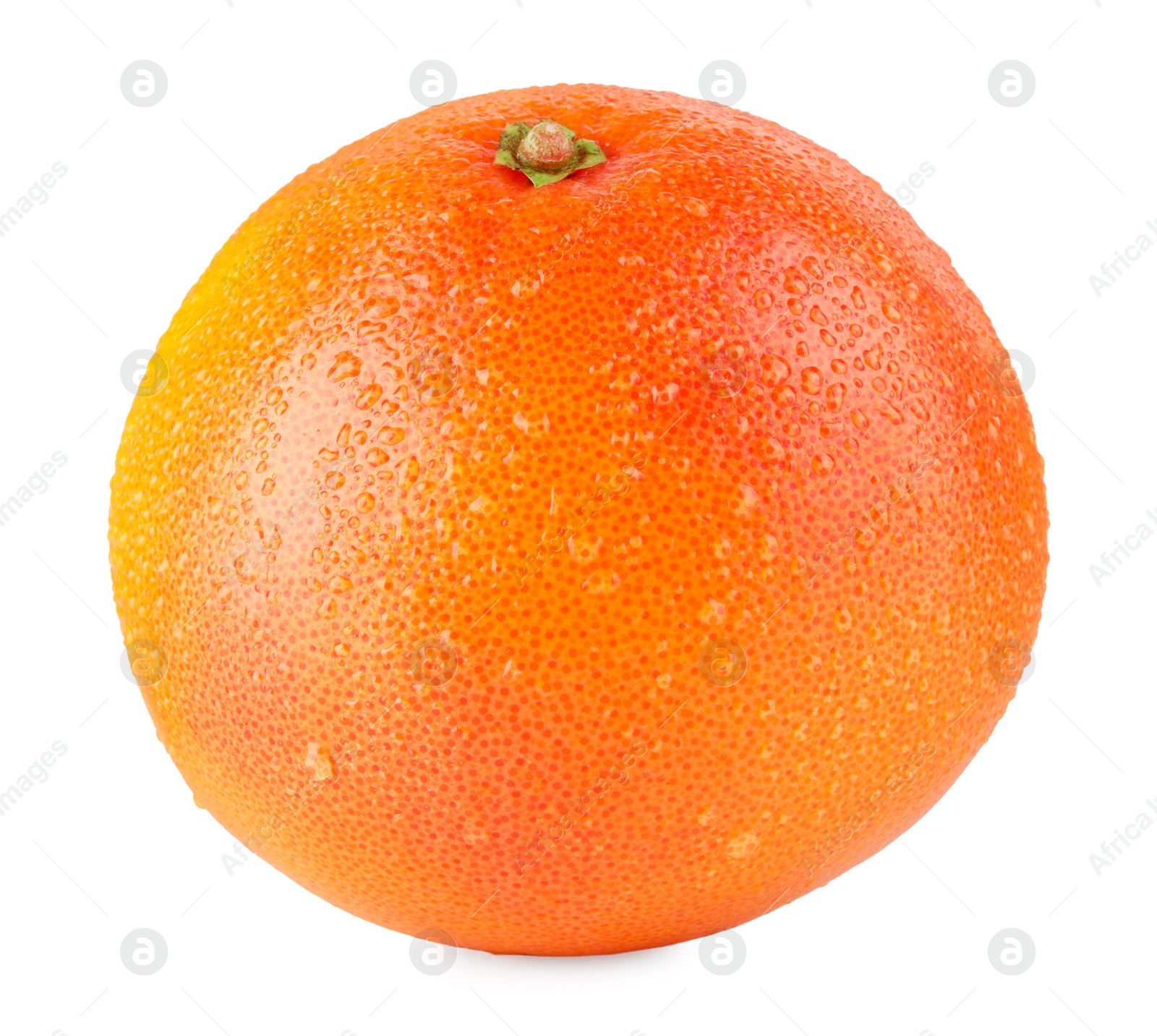 Photo of Fresh ripe grapefruit with water drops isolated on white. Citrus fruit